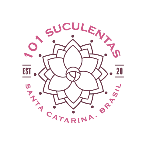 101 Suculentas