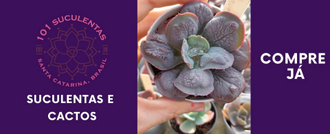 Imagen del carrusel 1