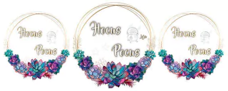 Hocus Pocus Loja Bruxaria Magia Natural Paganismo Druidas Celtas Nordicos Bruxas