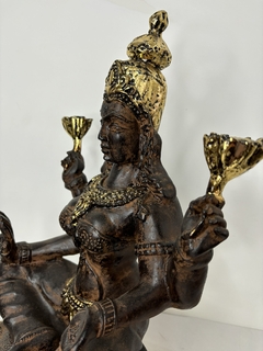 Lakshmi na internet