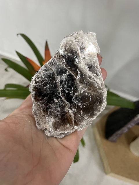 Biotita