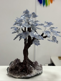 Árvore Cianita Azul GG