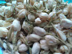 Pimpollos de Jazmín