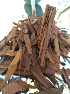 Canela quebrada - tienda online
