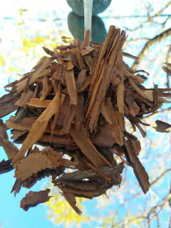Canela quebrada