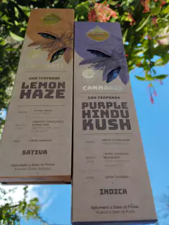 Sahumerios CANNABIS - SAGRADA MADRE