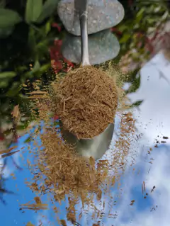 Hebras de Palo Santo - comprar online