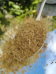 Hebras de Palo Santo