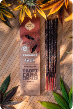 Sahumerios CANNABIS - SAGRADA MADRE - Mamabel