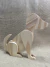 Cachorro em Pinus