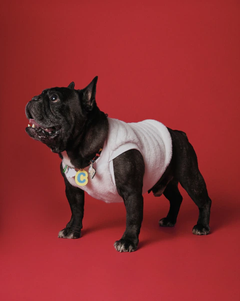 Blusa Pet de Pelúcia com Elastano Off White