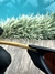 Imagem do Penny Corvette - 24K + Side Blinder Preto
