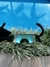 Imagem do Kato - G26 Burn
