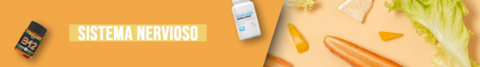 Banner de la categoría Sistema nervioso
