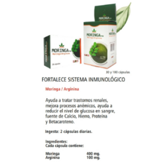 MORINGA - comprar online