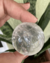esfera-quartzo-cristal-com-arco-iris