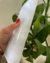 Placa de Selenita Bruta 534g - comprar online