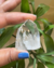 ponta-quartzo-cristal