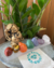 kit-sete-chakras