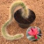Cleistocactus colademononis - Rabo de macaco (Pote 11)