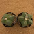 Dupla de Astrophytum myriostigma nudum (Pote 11) na internet