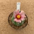 Astrophytum asterias akabana 64 (Pote 11) - comprar online