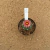 Astrophytum asterias akabana 556 (Pote 9) - comprar online