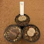Kit lithops - Cacto pedra 41 (Pote 7) - comprar online