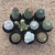 Kit Mammillaria (Pote 11) - comprar online