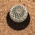Mammillaria woodsii (Pote 11) - comprar online