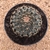 Mammillaria heyderii (Pote 11) - comprar online