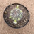 Mammillaria leptacantha rubispina (Pote 11) - comprar online