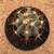Ferocactus pottsii (Pote 11) - comprar online