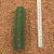 Trichocereus pachanoi - São Pedro (Estaca)