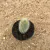 Cleistocactus baumannii (Pote 11) - comprar online