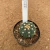 Astrophytum asterias variegata 211 (Pote 9) - comprar online