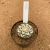 Astrophytum superkabuto v type padrão 244 (Pote 9) - comprar online