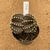 Gymnocalycium aquadulce enxertado 386 (Pote 9) - comprar online