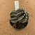 Gymnocalycium aquadulce enxertado 393 (Pote 9) - comprar online