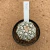 Astrophytum superkabuto v type 566 (Pote 9) - comprar online