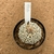 Astrophytum superkabuto v type 842 (Pote 9) - comprar online