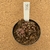 Gymnocalycium t rex enxertado 956 (Pote 9) - comprar online