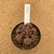 Gymnocalycium t rex enxertado 999 (Pote 9) - comprar online