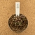 Gymnocalycium t rex enxertado 954 (Pote 9) - comprar online