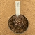 Gymnocalycium t rex enxertado 946 (Pote 9) - comprar online