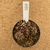 Gymnocalycium t rex enxertado 997 (Pote 9) - comprar online
