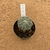 Astrophytum superkabuto enxertado B578 (Pote 9) - comprar online