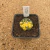 Astrophytum asterias variegata A126 (Pote 10) - comprar online