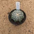 Astrophytum superkabuto star shape A247 (Pote 9) - comprar online