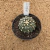 Astrophytum superkabuto A245 (Pote 9) - comprar online